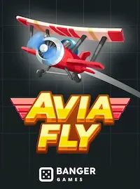 Avia Fly Avia Fly crash at XE666 COM